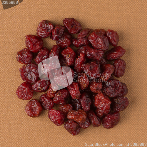 Image of Circle of dried cranberries