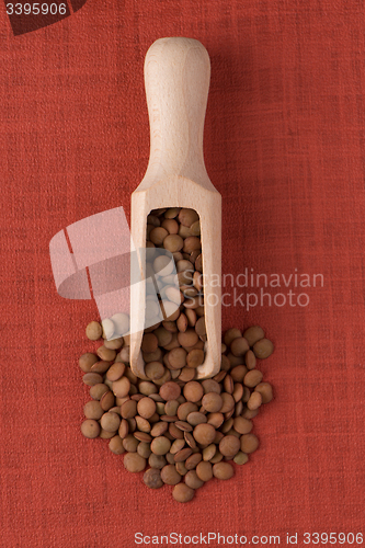 Image of Wooden scoop with lentils