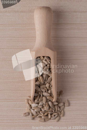 Image of Wooden scoop with shelled sunflower seeds