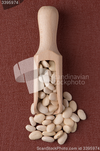 Image of Wooden scoop with white beans