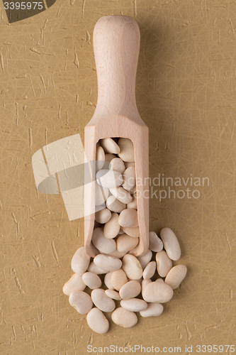 Image of Wooden scoop with white beans