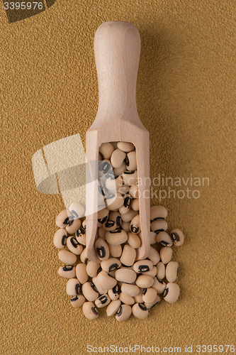 Image of Wooden scoop with white beans
