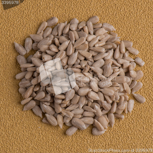 Image of Circle of shelled sunflower seeds