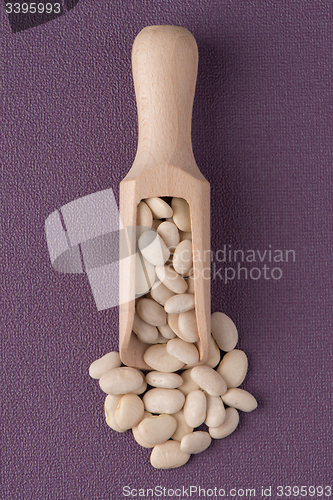 Image of Wooden scoop with white beans