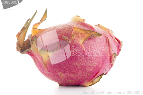 Image of Pitaya or Dragon Fruit 
