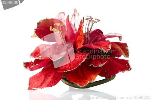 Image of Red Christmas decoration