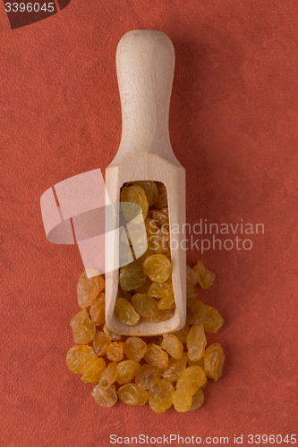 Image of Wooden scoop with golden raisins