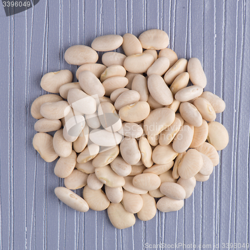 Image of Circle of white beans