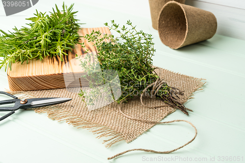 Image of Rosemary and thyme