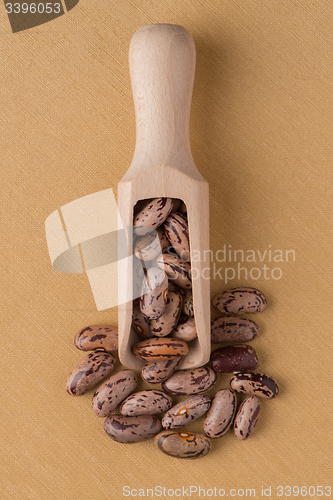 Image of Wooden scoop with pinto beans