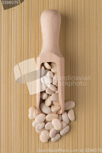 Image of Wooden scoop with white beans