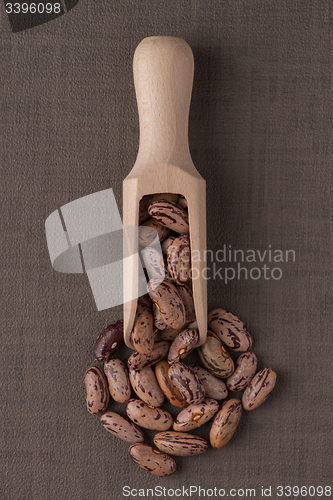 Image of Wooden scoop with pinto beans