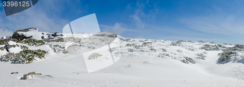 Image of Landscape of Serra da Estrela