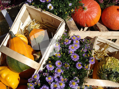 Image of autumn arriving