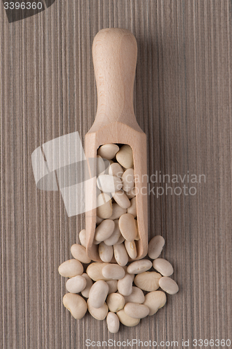 Image of Wooden scoop with white beans
