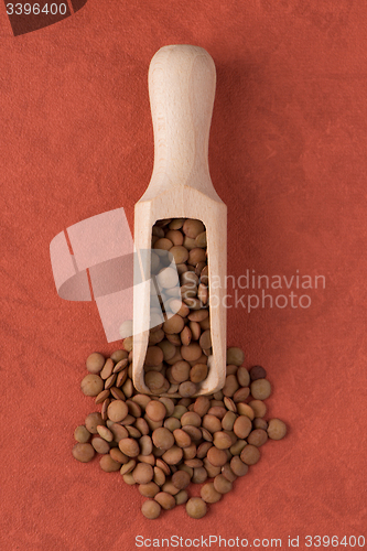 Image of Wooden scoop with lentils