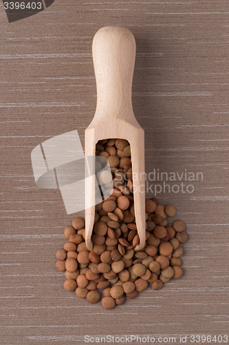 Image of Wooden scoop with lentils