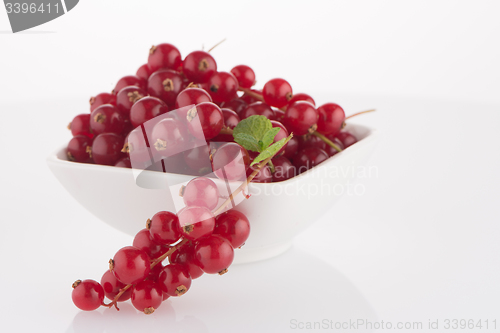 Image of Red Currants