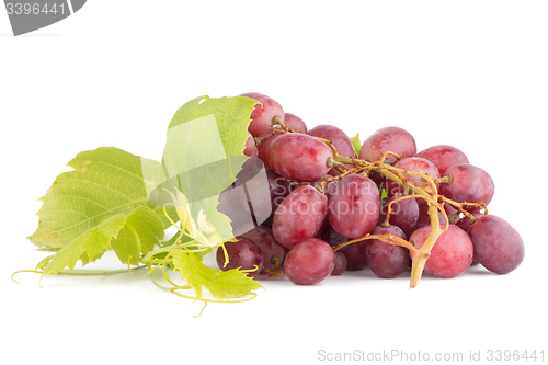 Image of Bunch of red grapes