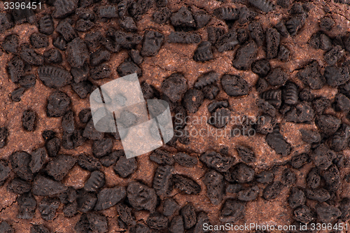 Image of Brownie chocolate cake