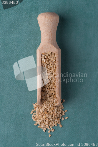 Image of Circle of sesame seeds