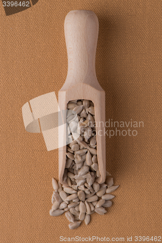 Image of Wooden scoop with shelled sunflower seeds
