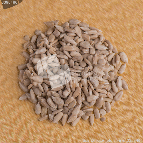 Image of Circle of shelled sunflower seeds