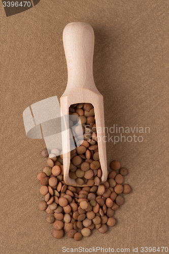 Image of Wooden scoop with lentils