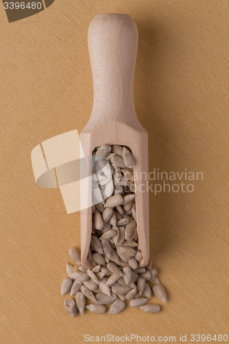 Image of Wooden scoop with shelled sunflower seeds