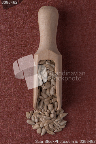 Image of Wooden scoop with shelled sunflower seeds