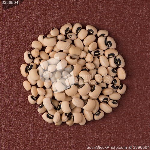 Image of Circle of white beans