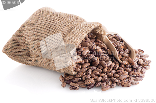 Image of Pinto beans bag