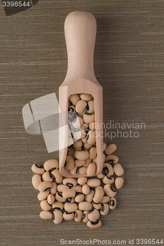 Image of Wooden scoop with white beans