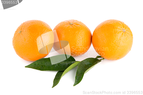 Image of Ripe tangerine or mandarin