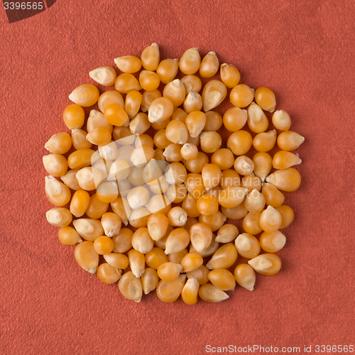 Image of Circle of corn