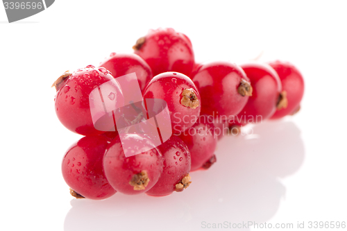 Image of Red Currant