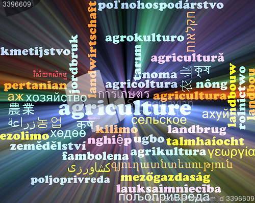 Image of Agriculture multilanguage wordcloud background concept glowing
