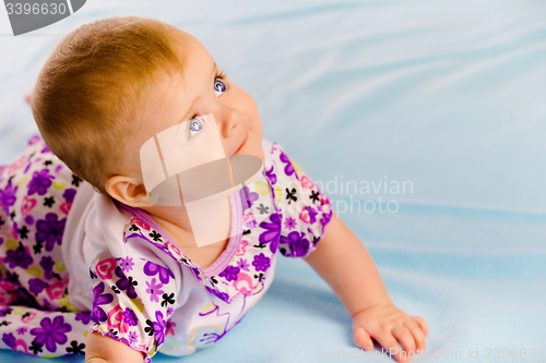 Image of Crawling across the blue plaid baby looking up