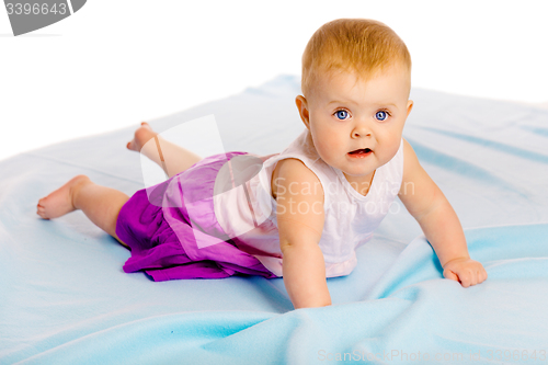 Image of Crawling across the blue plaid baby girl