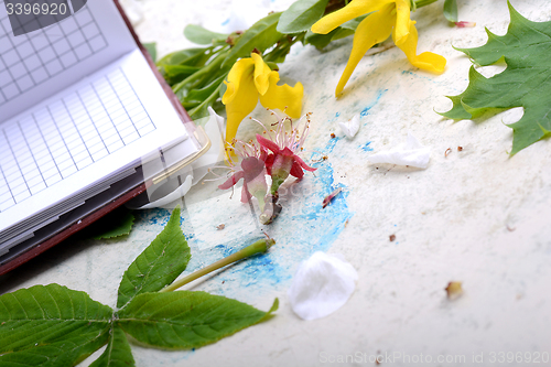 Image of Blank paper notebook on white vintage background with scrapbooking elements