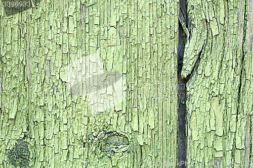 Image of Dark green wood. Natural texture background