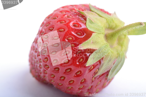 Image of Red Ripe delicious Organic Strawberry, Close up, Macro