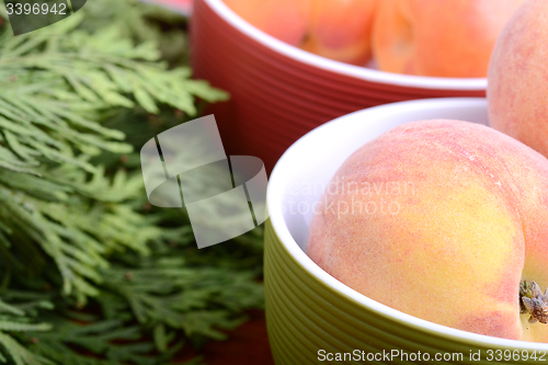 Image of Nectarines, strawberries, peach and apricots with green branch