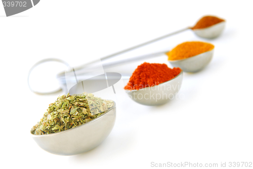 Image of Spices in measuring spoons