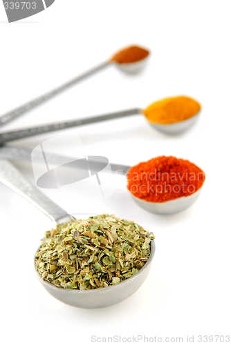 Image of Spices in measuring spoons