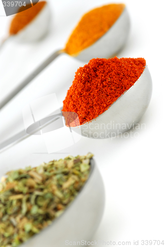 Image of Spices in measuring spoons