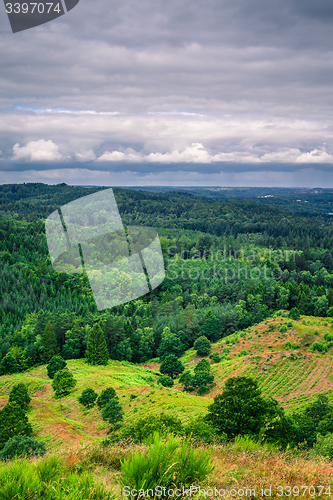 Image of Landscape with pine trees in cloudy weather