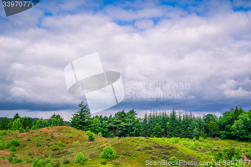 Image of Cloudy weather over green trees