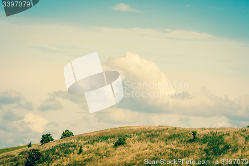 Image of Countryside landscape with plains of grass