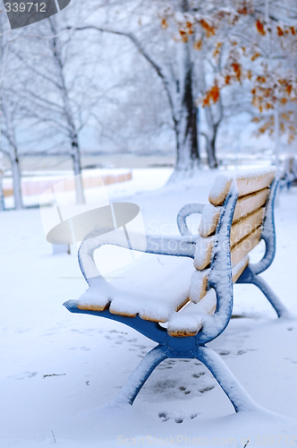 Image of Winter bench